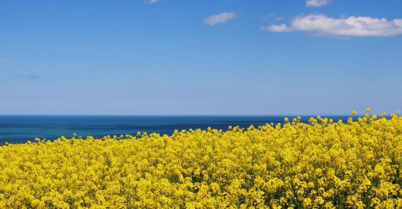 Casa Di Adele Con Giardino Privato A 150 Mt Dal Mare Holiday home