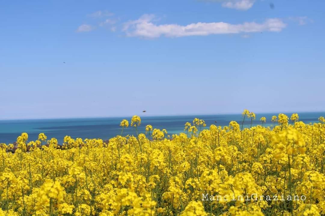 Casa Di Adele Con Giardino Privato A 150 Mt Dal Mare Casa de Férias